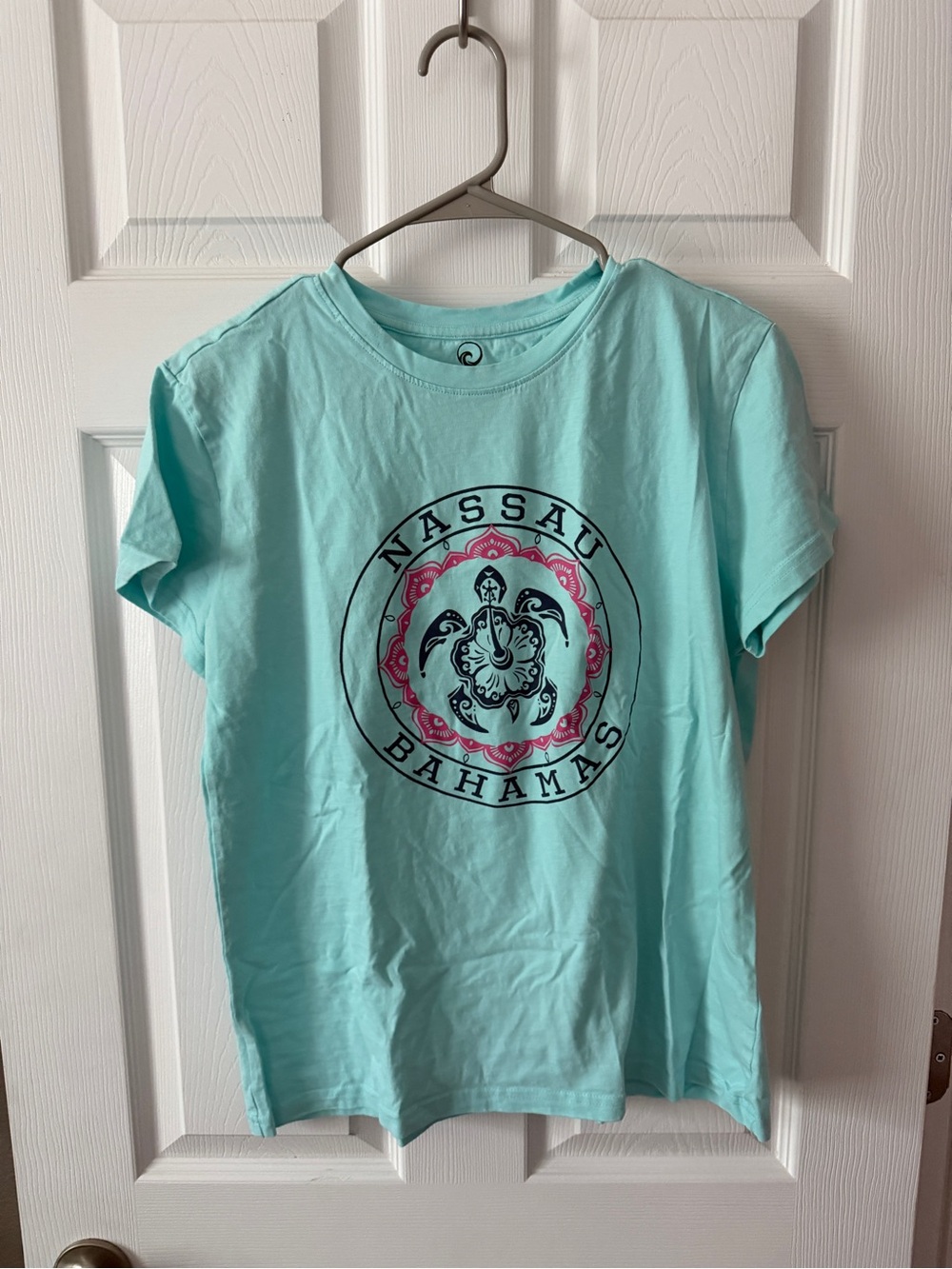 Nassau Bahamas Sea Turtle Graphic Tee - Aqua